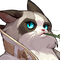 Card2 Master Cat.png